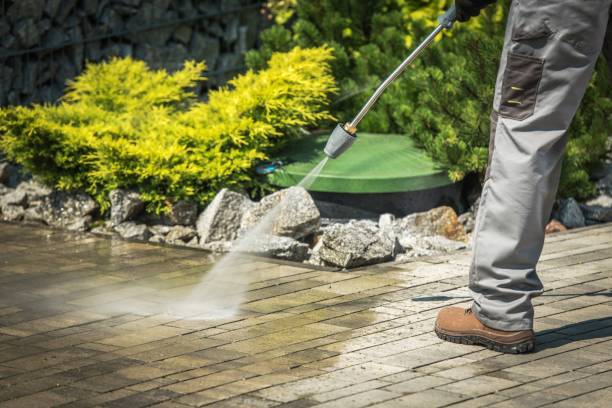 Best Rust Removal  in Parksdale, CA